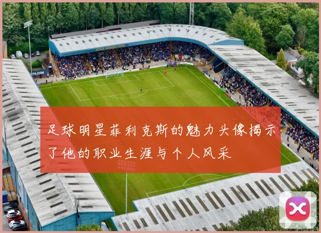 足球明星菲利克斯的魅力头像揭示了他的职业生涯与个人风采