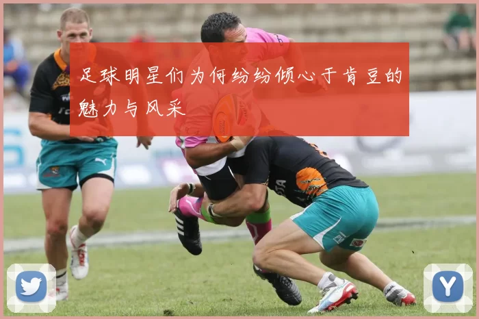 足球明星们为何纷纷倾心于肯豆的魅力与风采
