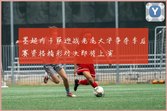 墨超内卡萨迎战老虎大学争夺季后赛资格精彩对决即将上演