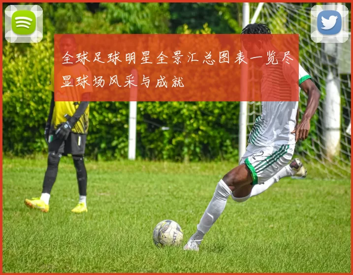 全球足球明星全景汇总图表一览尽显球场风采与成就