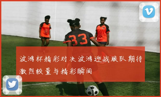 波鸿杯精彩对决波鸿迎战狼队期待激烈较量与精彩瞬间