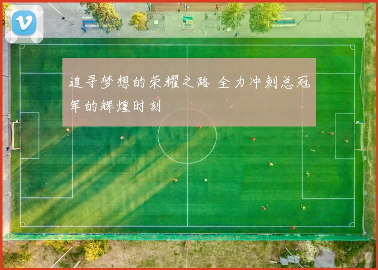追寻梦想的荣耀之路 全力冲刺总冠军的辉煌时刻