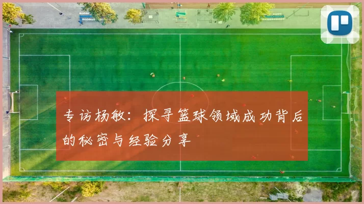 专访杨敏：探寻篮球领域成功背后的秘密与经验分享