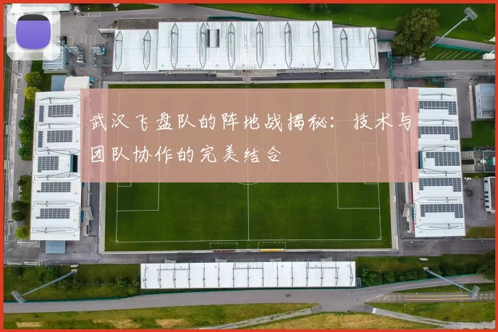 武汉飞盘队的阵地战揭秘：技术与团队协作的完美结合