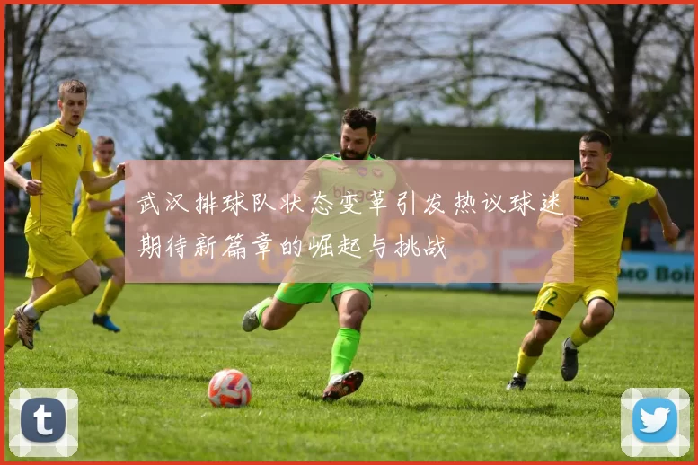 武汉排球队状态变革引发热议球迷期待新篇章的崛起与挑战