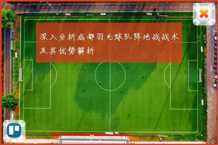 深入分析成都羽毛球队阵地战战术及其优势解析