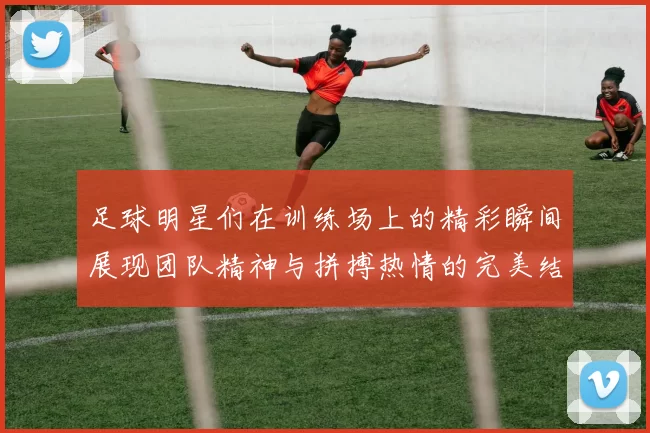 足球明星们在训练场上的精彩瞬间展现团队精神与拼搏热情的完美结合