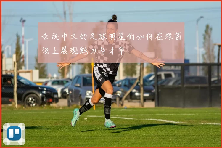 会说中文的足球明星们如何在绿茵场上展现魅力与才华