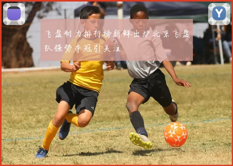 飞盘耐力排行榜新鲜出炉北京飞盘队强势夺冠引关注
