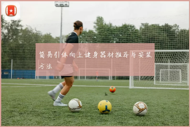 简易引体向上健身器材推荐与安装方法