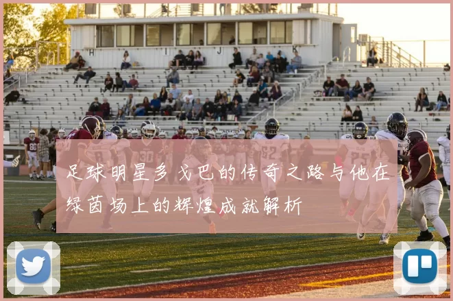 足球明星多戈巴的传奇之路与他在绿茵场上的辉煌成就解析