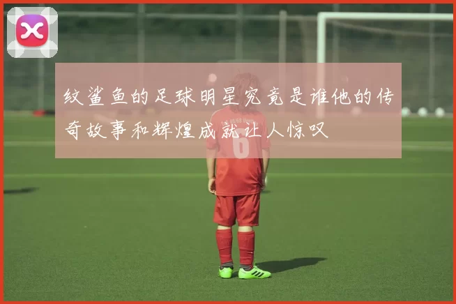纹鲨鱼的足球明星究竟是谁他的传奇故事和辉煌成就让人惊叹