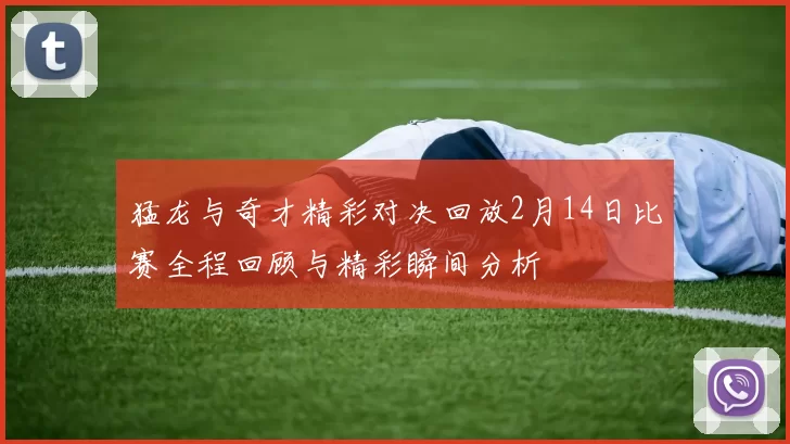 猛龙与奇才精彩对决回放2月14日比赛全程回顾与精彩瞬间分析
