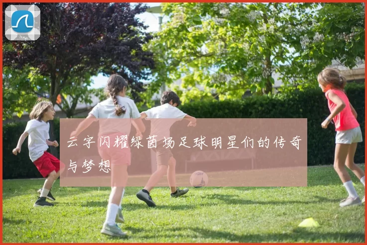 云字闪耀绿茵场足球明星们的传奇与梦想