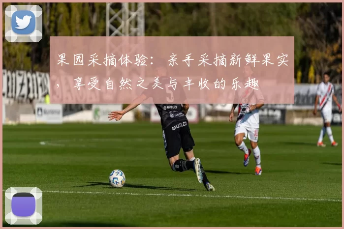 果园采摘体验：亲手采摘新鲜果实，享受自然之美与丰收的乐趣