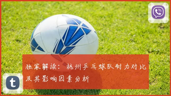 独家解读：杭州乒乓球队耐力对比及其影响因素分析
