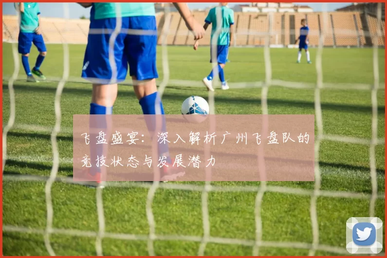 飞盘盛宴：深入解析广州飞盘队的竞技状态与发展潜力