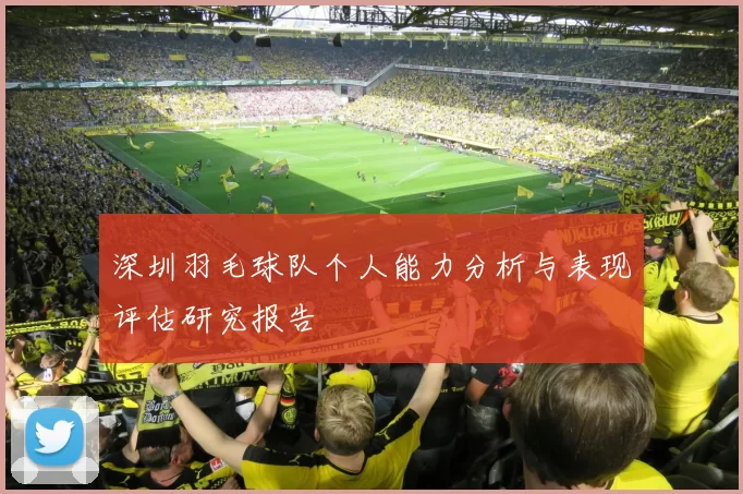 深圳羽毛球队个人能力分析与表现评估研究报告