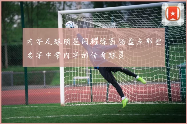 内字足球明星闪耀绿茵场盘点那些名字中带内字的传奇球员