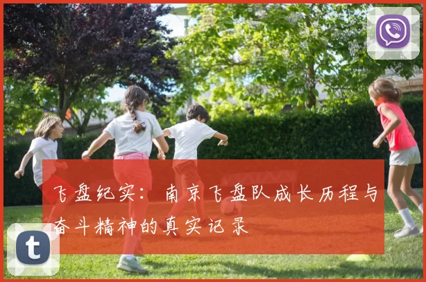 飞盘纪实：南京飞盘队成长历程与奋斗精神的真实记录