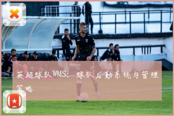 英超球队WMS：球队后勤系统与管理策略